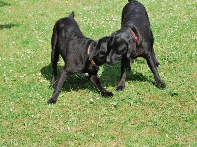 Caro und Betsy
