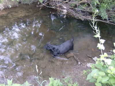 Sina spielt im Wasser